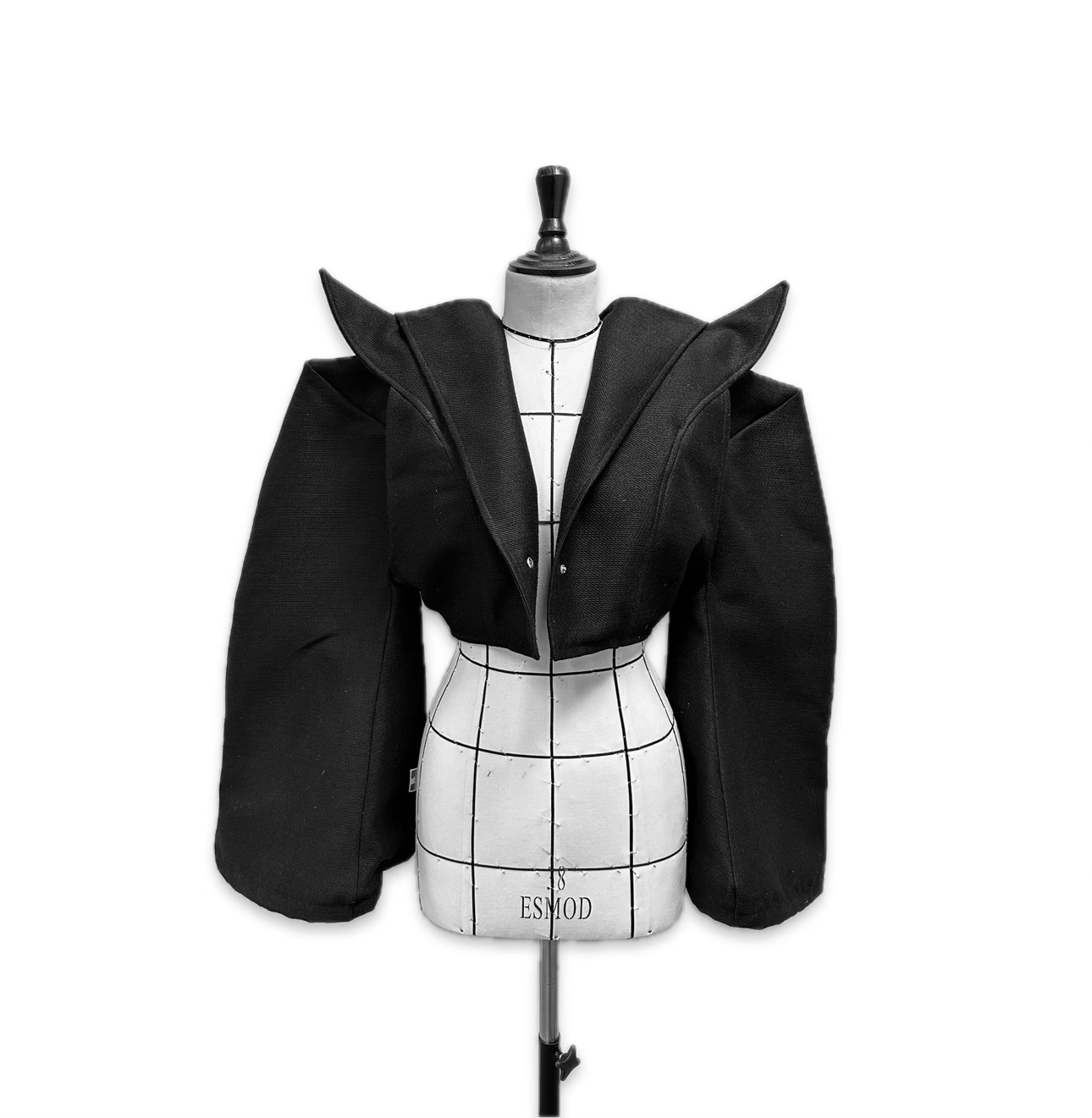 Two Piece Suit